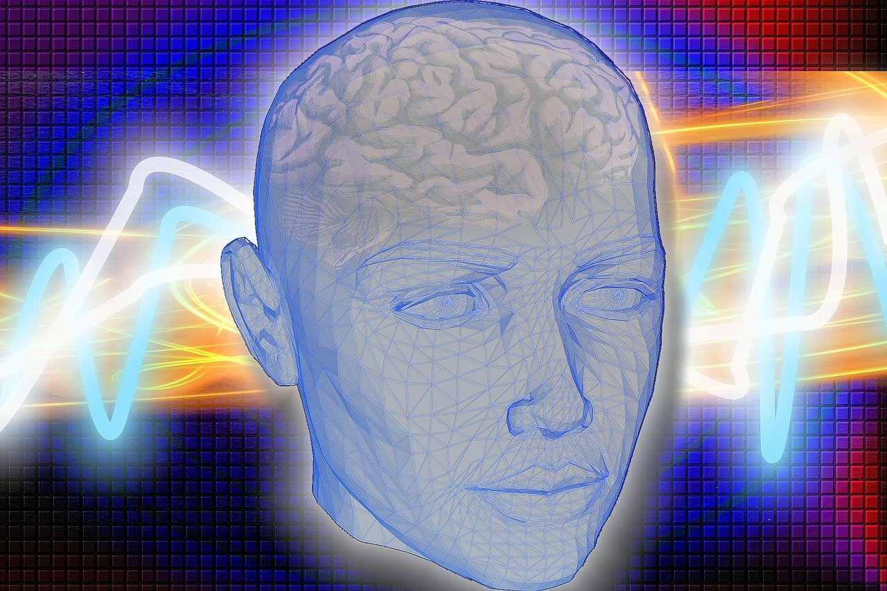 科学家确定大脑存在食物记忆，科学家揭示大脑中存在食物记忆的重要性